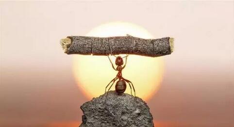 涂多多“雙十一”活動突破5000萬 title=