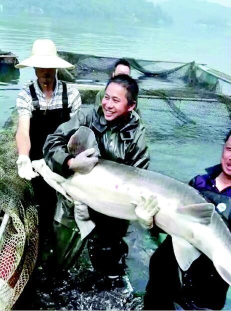 湖北長陽2400萬斤清江魚愁銷路 福中小6水產網急援手 title=
